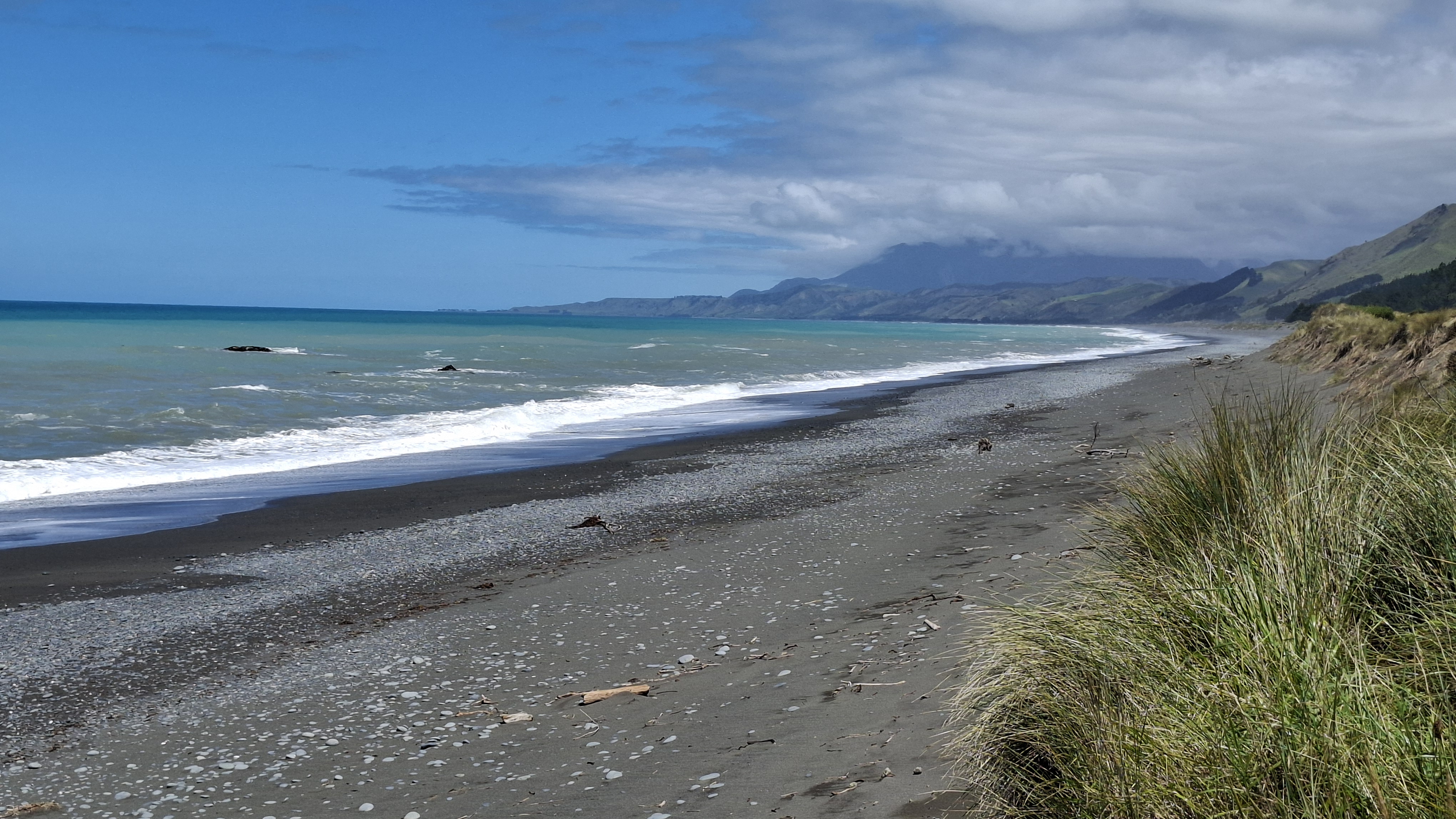 Wild New Zealand coastline with black sand beach and turquoise sea